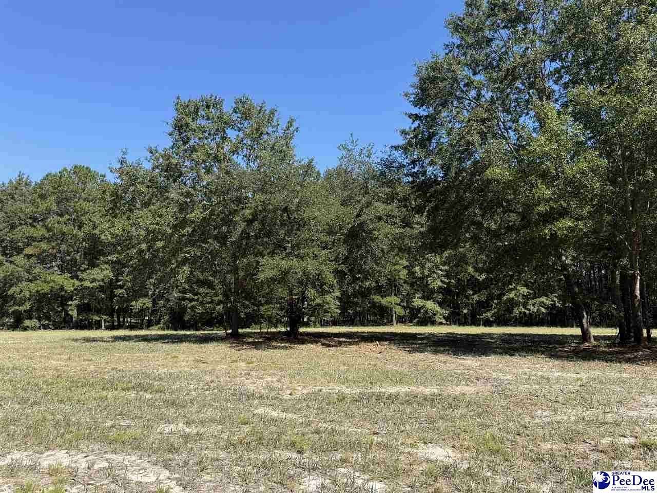 0.99 Acres of Residential Land for Sale in Dillon, South Carolina