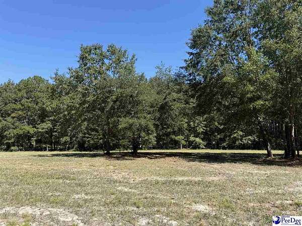 0.99 Acres of Residential Land for Sale in Dillon, South Carolina