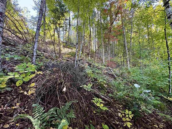 14.1 Acres of Land for Sale in Columbia, New Hampshire