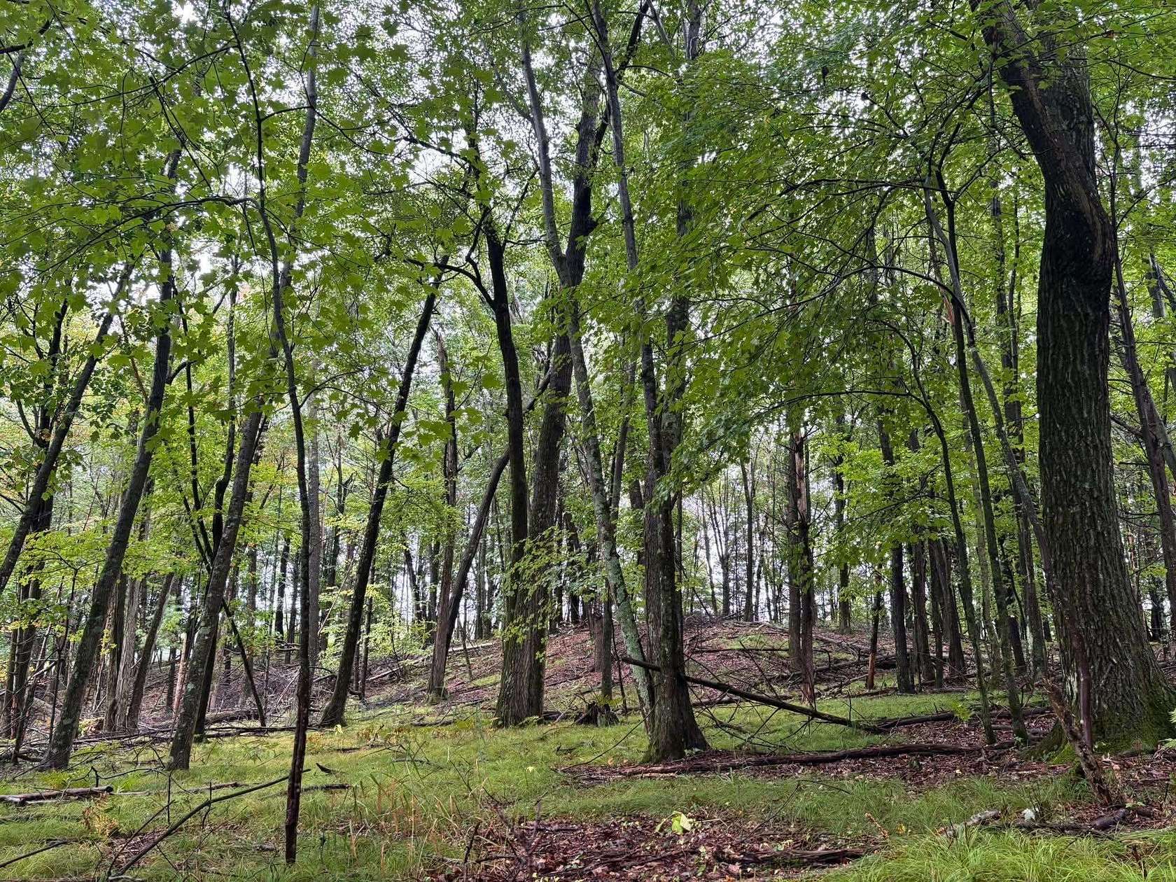 1.12 Acres of Residential Land for Sale in Iola, Wisconsin