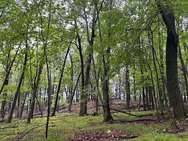 1.12 Acres of Residential Land for Sale in Iola, Wisconsin