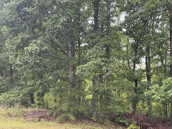 26 Acres of Recreational & Residential Land for Sale in Gladstone, Virginia