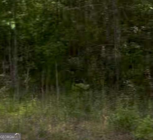 1 Acre of Residential Land for Sale in Dudley, Georgia