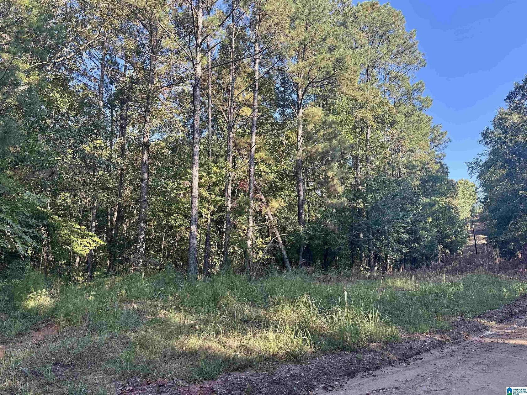 19.3 Acres of Recreational & Residential Land for Sale in Wedowee, Alabama