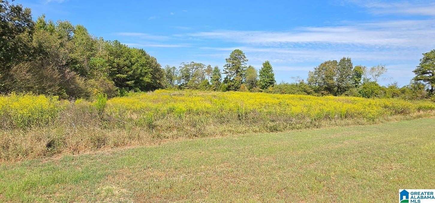 40 Acres of Recreational & Residential Land for Sale in Maplesville, Alabama