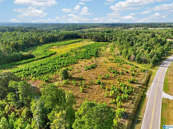 40 Acres of Recreational & Residential Land for Sale in Maplesville, Alabama