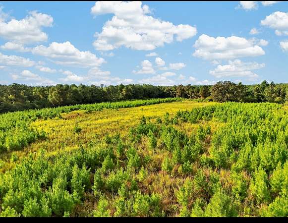 40 Acres of Recreational & Residential Land for Sale in Maplesville, Alabama