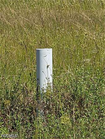 0.23 Acres of Residential Land for Sale in Cape Coral, Florida