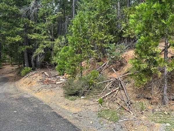 0.5 Acres of Residential Land for Sale in Trinity Center, California