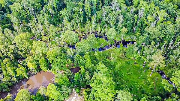 10 Acres of Land for Sale in Walterboro, South Carolina