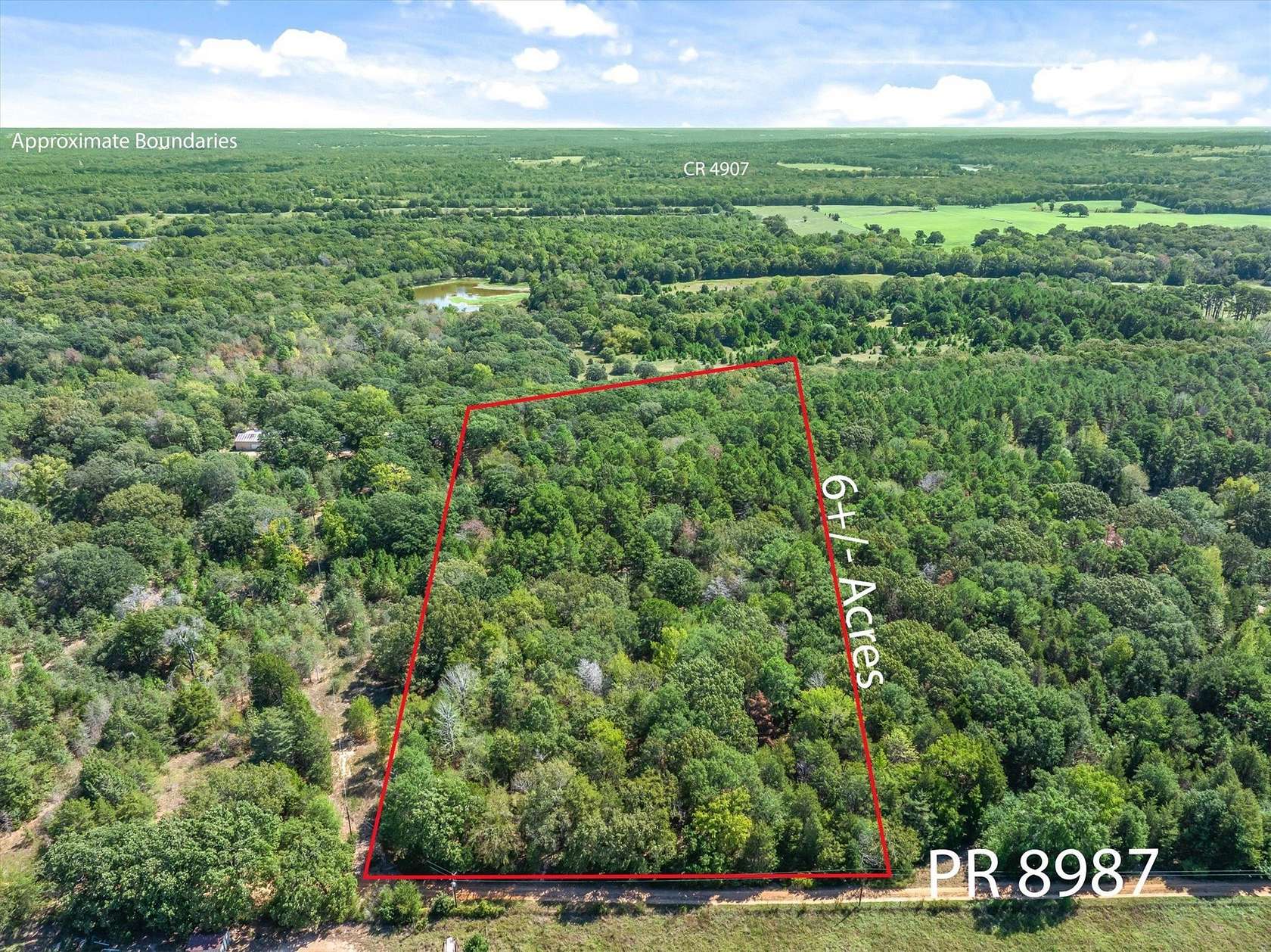 6.46 Acres of Residential Land for Sale in Ben Wheeler, Texas