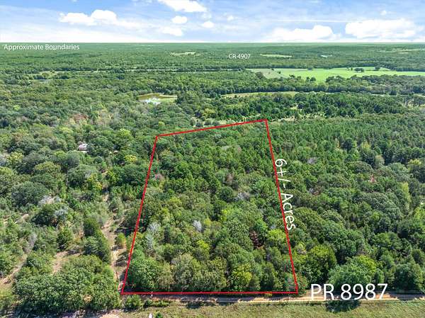 6.46 Acres of Residential Land for Sale in Ben Wheeler, Texas