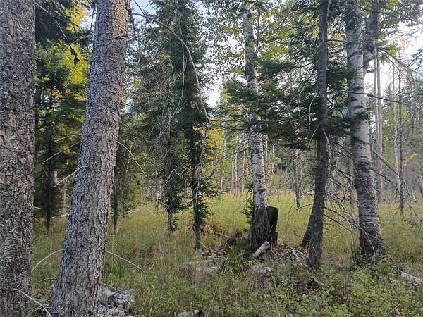 19 Acres of Land for Sale in Kalispell, Montana