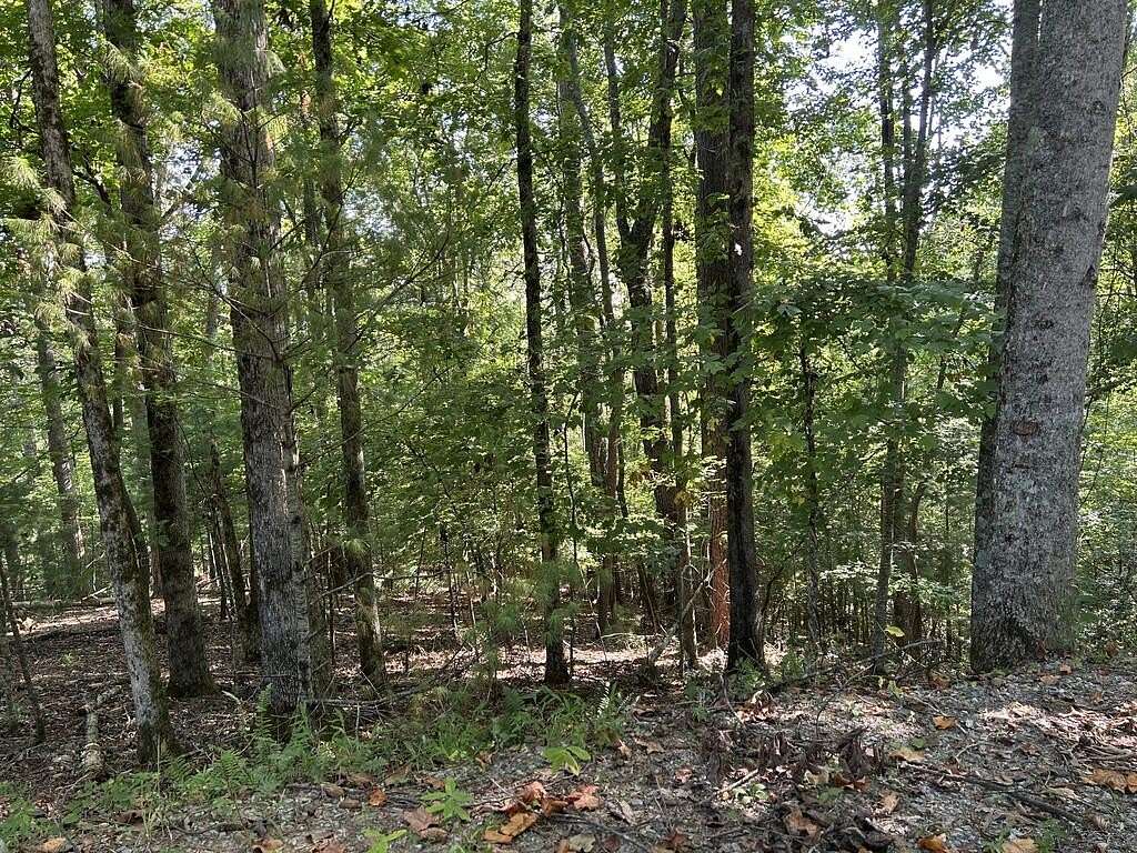 1.82 Acres of Land for Sale in Ellijay, Georgia