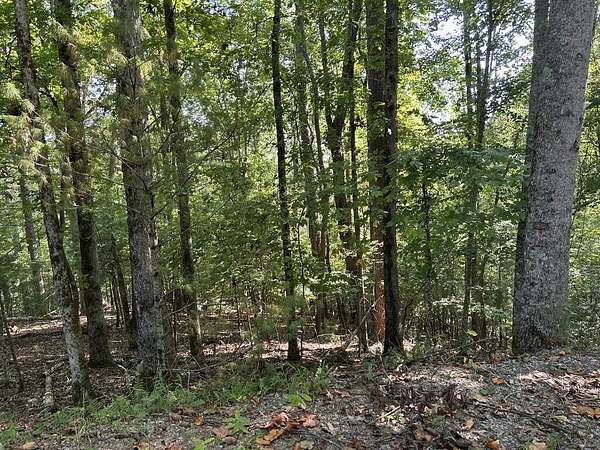 1.82 Acres of Land for Sale in Ellijay, Georgia