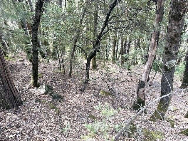 0.14 Acres of Residential Land for Sale in Dunsmuir, California