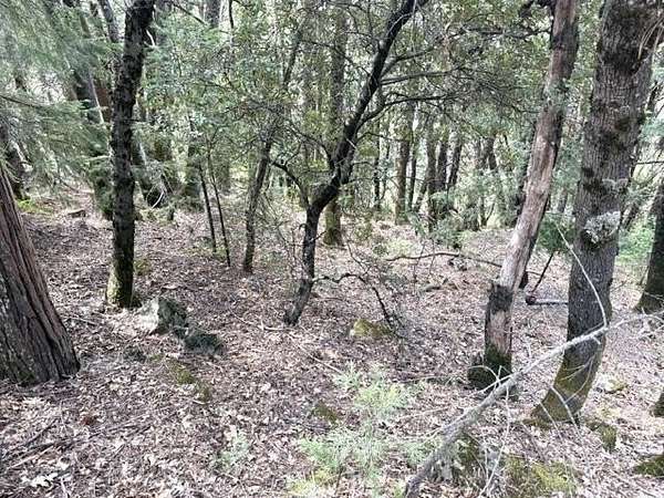 0.14 Acres of Residential Land for Sale in Dunsmuir, California