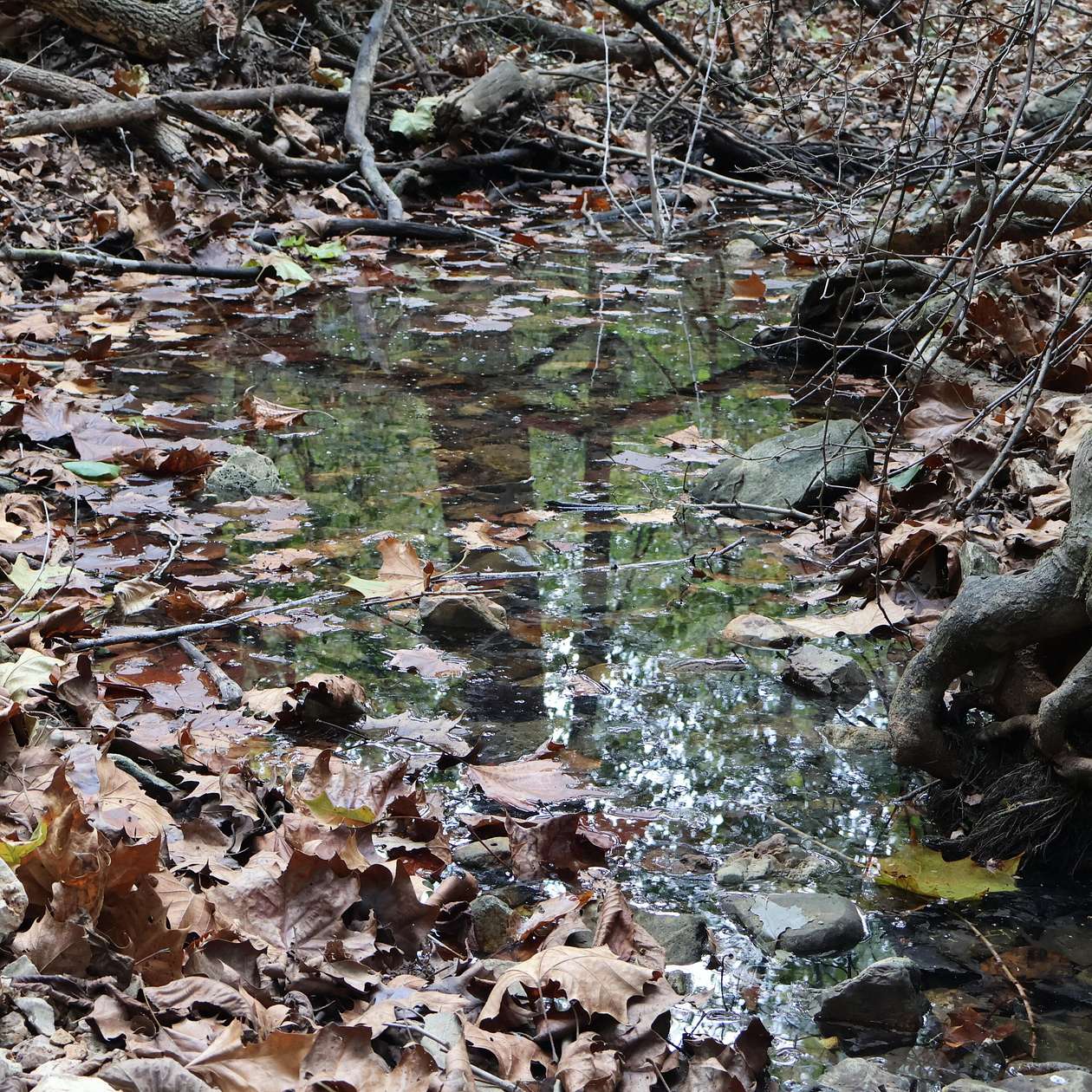 107 Acres of Recreational Land for Sale in Aurora, Missouri