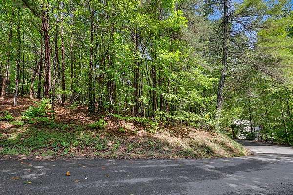 1.27 Acres of Residential Land for Sale in Young Harris, Georgia