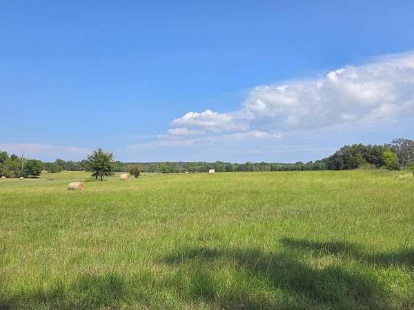 2 Acres of Residential Land for Sale in Guntown, Mississippi