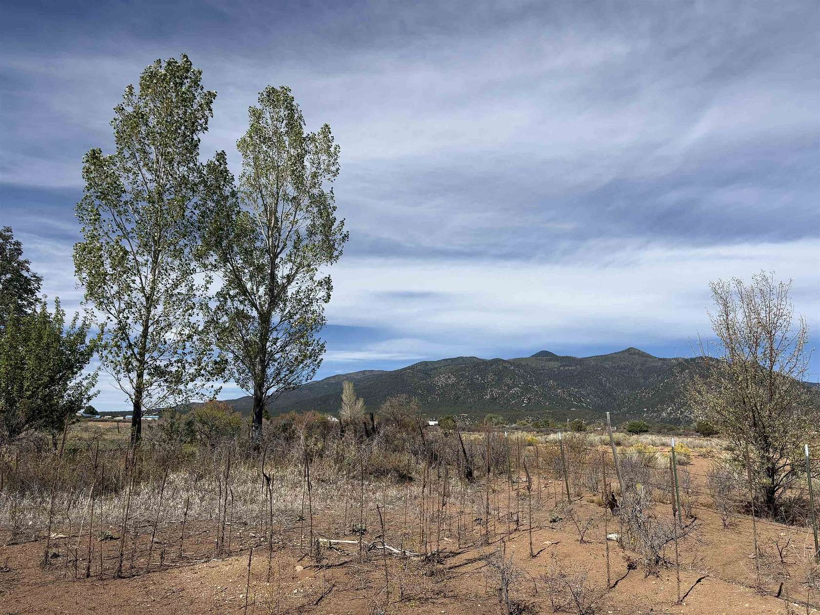 0.87 Acres of Residential Land for Sale in Arroyo Seco, New Mexico