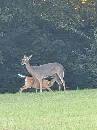 10.3 Acres of Land for Sale in Brownsburg, Indiana