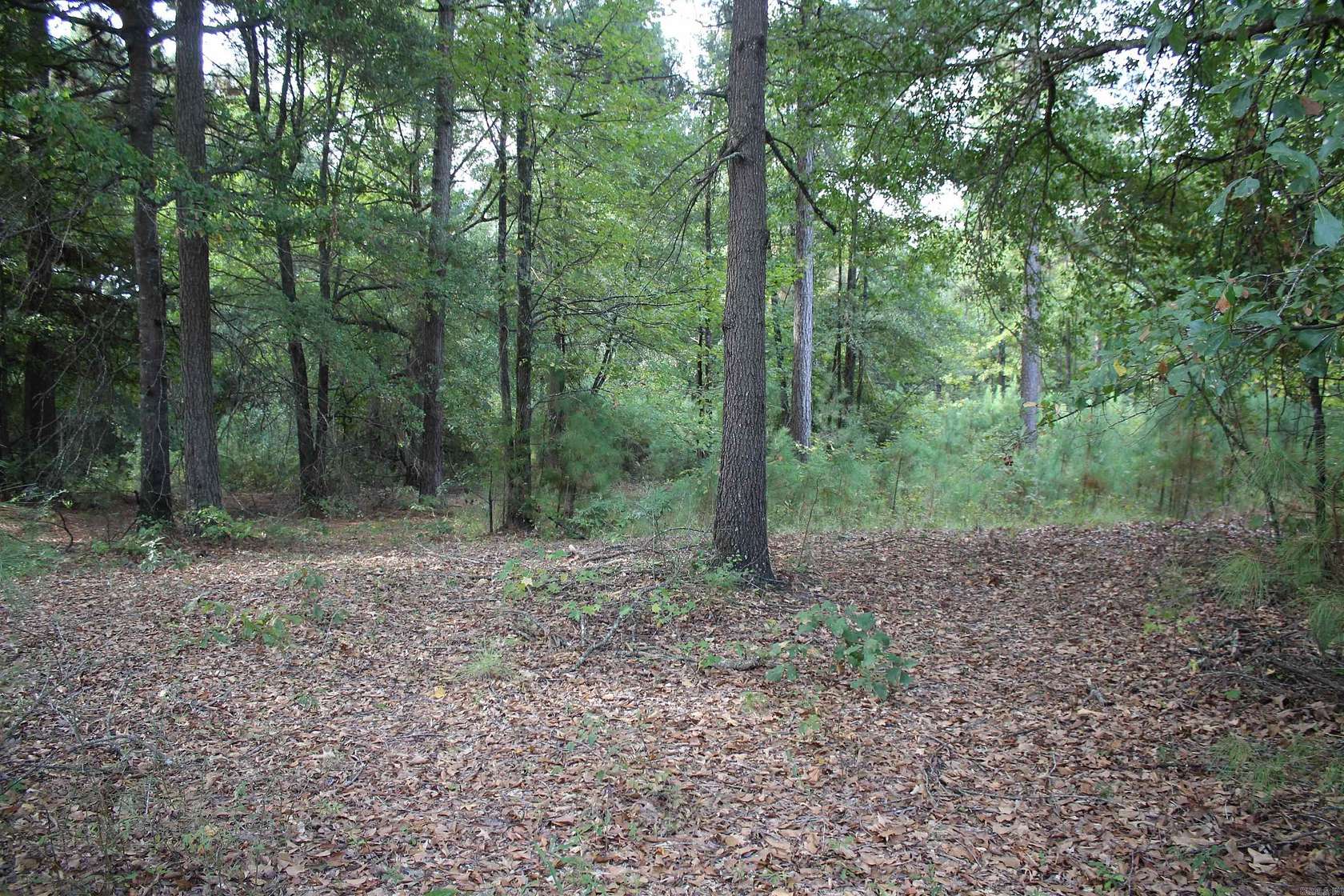 2.2 Acres of Land for Sale in Nashville, Arkansas