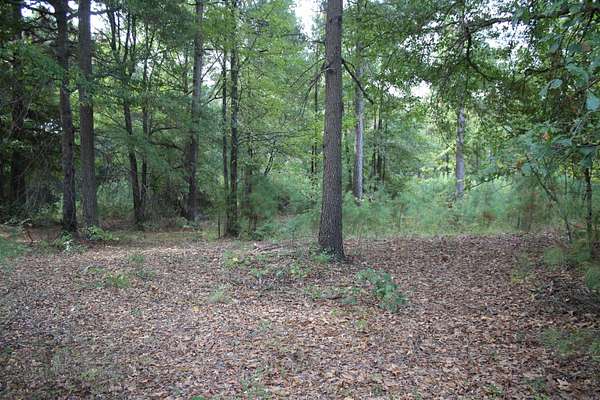 2.2 Acres of Land for Sale in Nashville, Arkansas