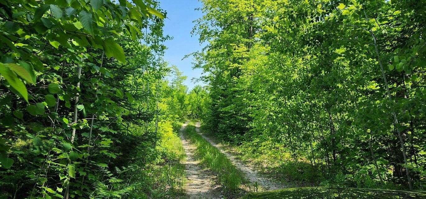 400 Acres of Recreational Land for Sale in Hessel, Michigan