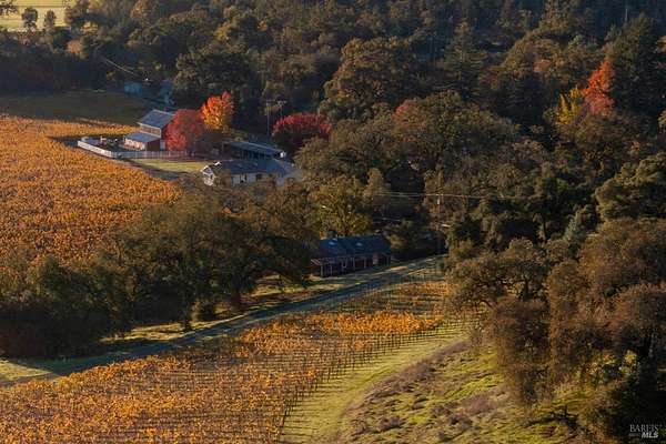 151 Acres of Agricultural Land with Home for Sale in St. Helena, California