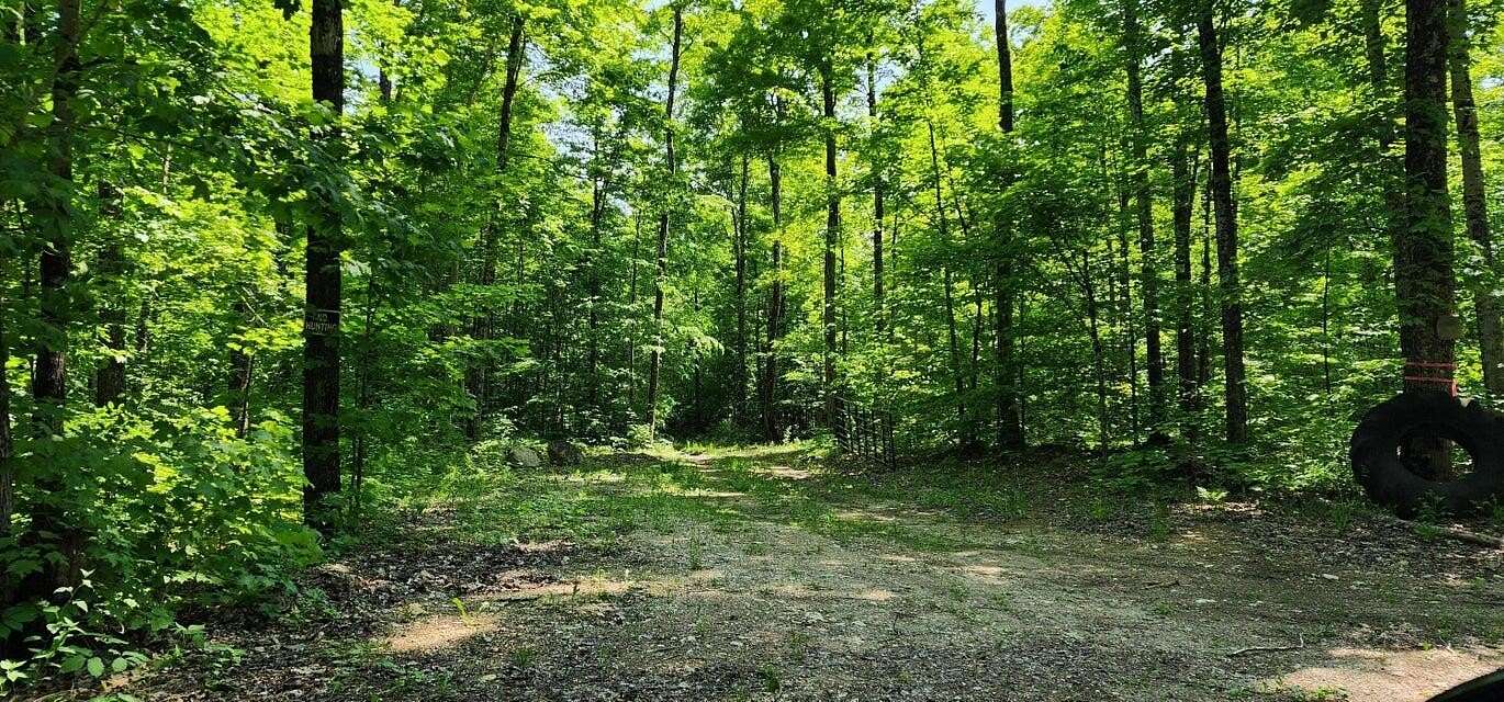 80 Acres of Recreational Land for Sale in Hessel, Michigan