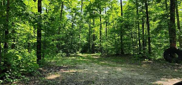 80 Acres of Recreational Land for Sale in Hessel, Michigan
