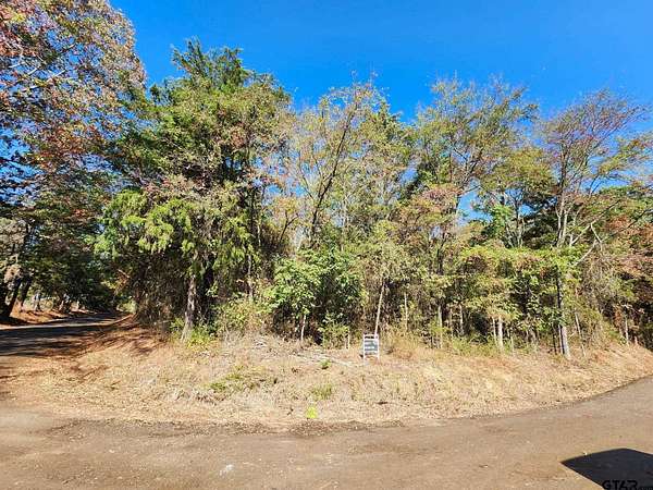 1.25 Acres of Land for Sale in Pittsburg, Texas
