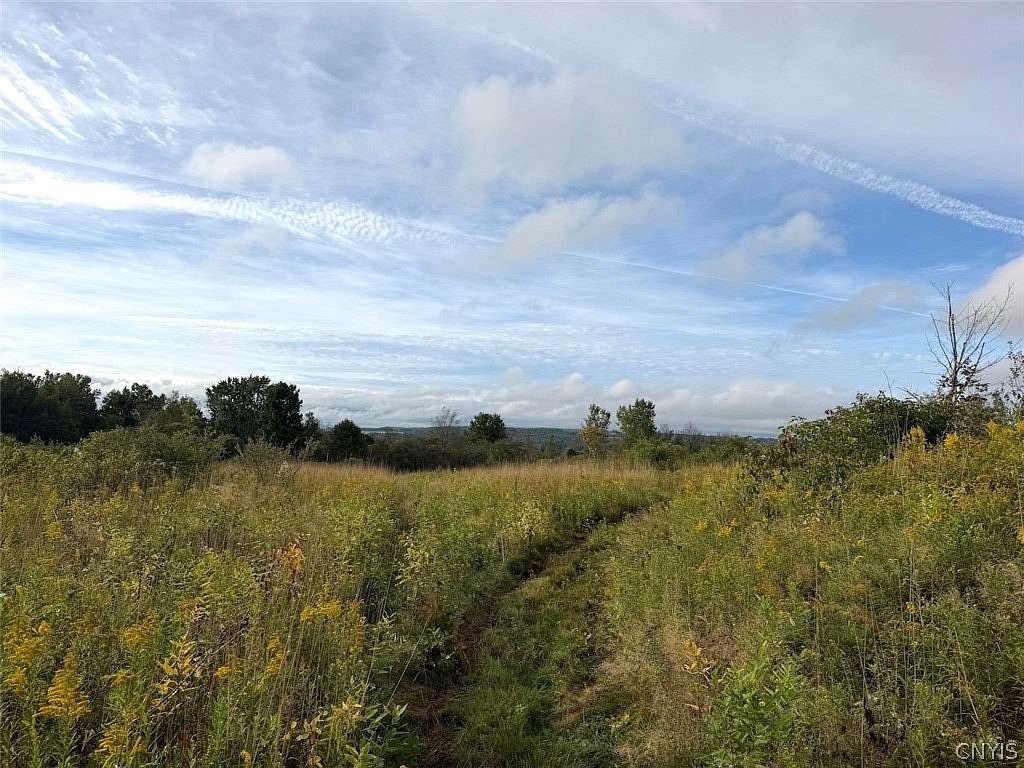 13 Acres of Recreational & Residential Land for Sale in South Dayton, New York