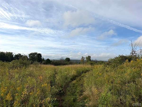 13 Acres of Recreational & Residential Land for Sale in South Dayton, New York
