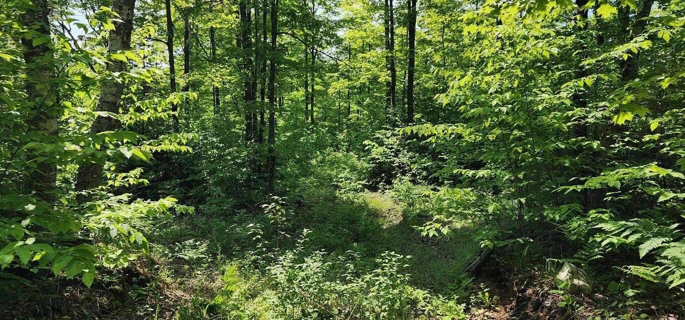 320 Acres of Recreational Land for Sale in Hessel, Michigan