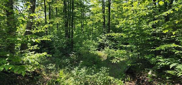 320 Acres of Recreational Land for Sale in Hessel, Michigan