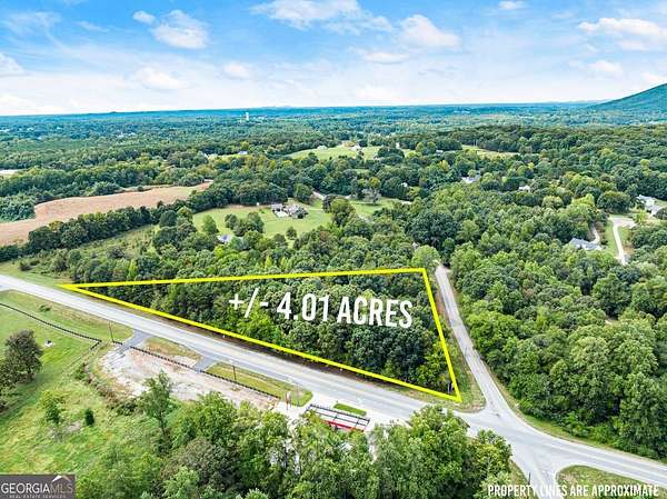 4 Acres of Mixed-Use Land for Sale in Clermont, Georgia