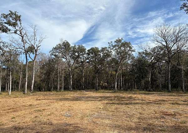 19.2 Acres of Land for Sale in Brooksville, Florida