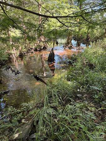 2.2 Acres of Land for Sale in Pace, Florida