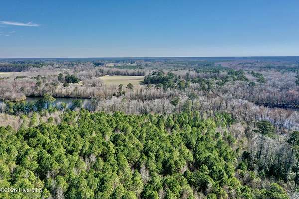 33 Acres of Land for Sale in Cerro Gordo, North Carolina