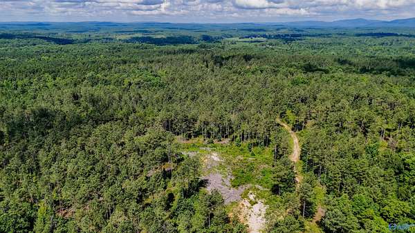 503 Acres of Recreational Land for Sale in Fruithurst, Alabama