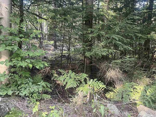 1.3 Acres of Residential Land for Sale in Cambridge, Vermont