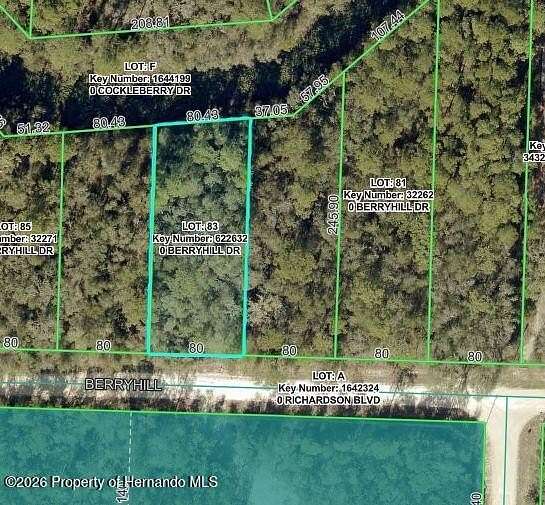 0.4 Acres of Residential Land for Sale in Webster, Florida