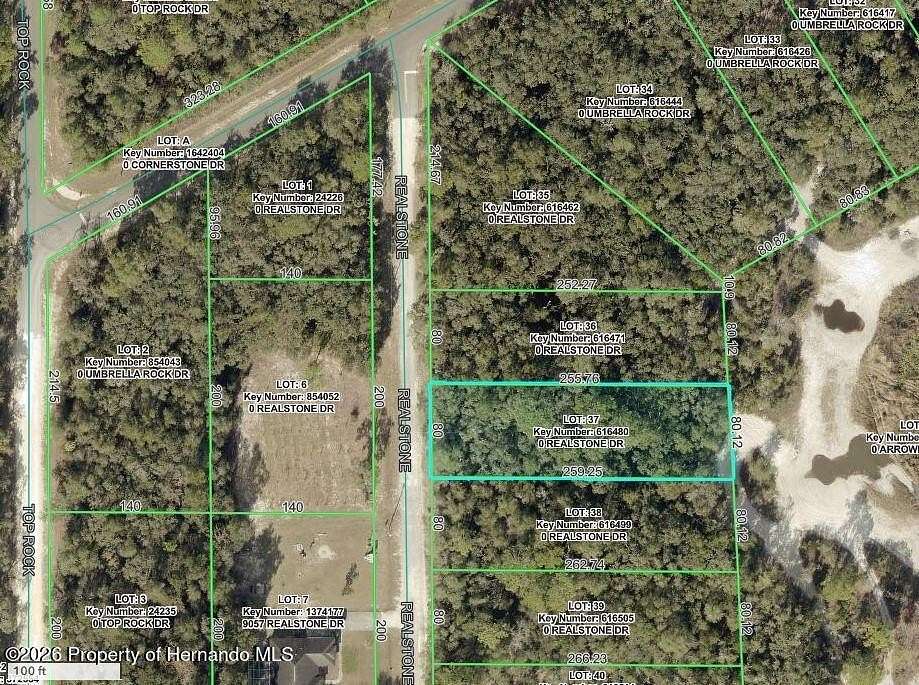 0.5 Acres of Residential Land for Sale in Webster, Florida