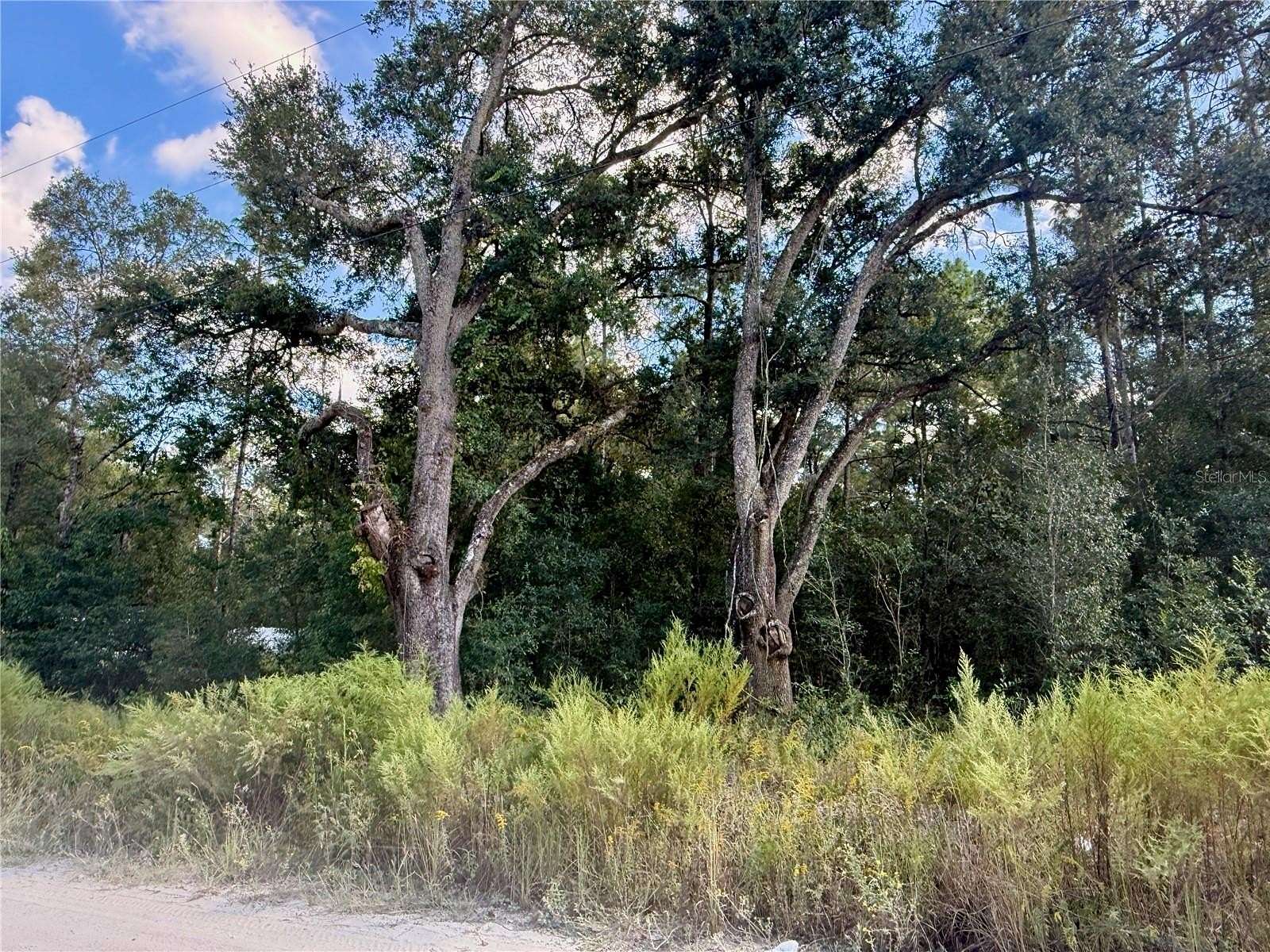 0.25 Acres of Residential Land for Sale in Ocala, Florida