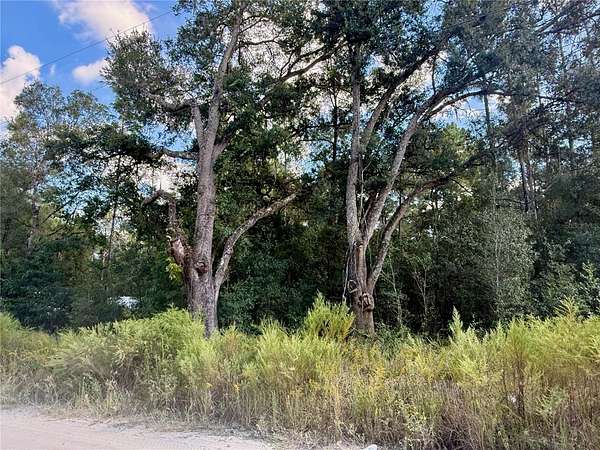 0.25 Acres of Residential Land for Sale in Ocala, Florida