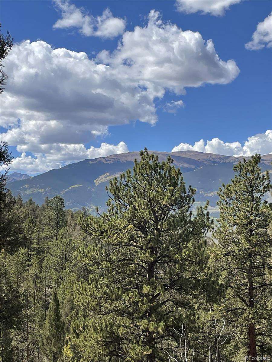 81.9 Acres of Recreational Land for Sale in Granite, Colorado