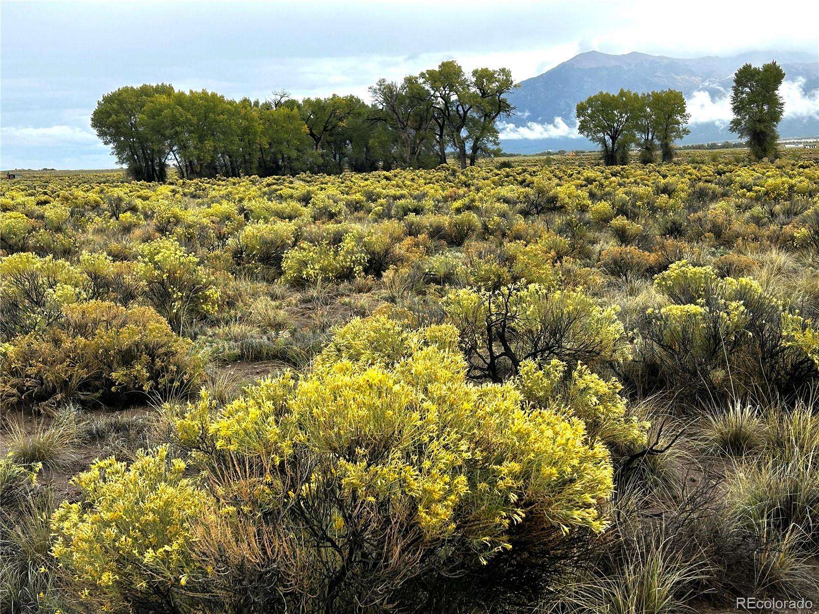 26.5 Acres of Recreational & Residential Land for Sale in Crestone, Colorado