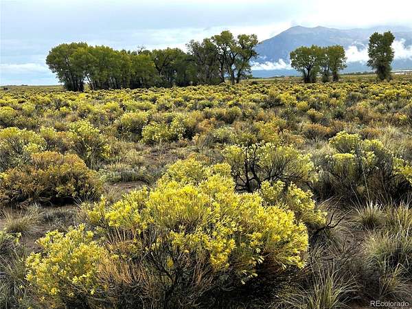 26.5 Acres of Recreational & Residential Land for Sale in Crestone, Colorado